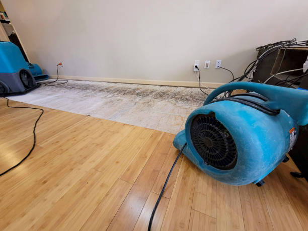 Professional Basement Flood Cleanup technician working in Friendship, ME